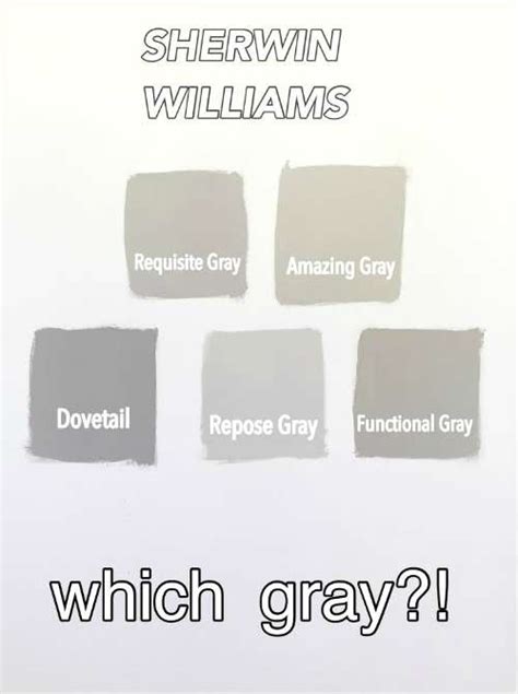 mega greige undertones|functional gray vs requisite gray.